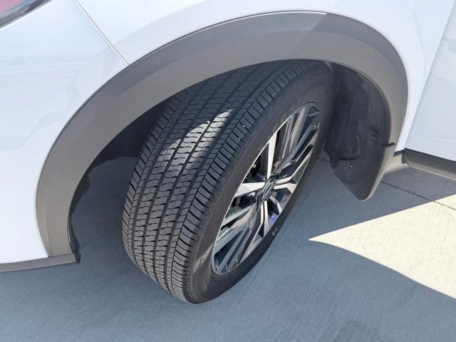 Photo of 2024 Fresh Powder Nissan Kicks