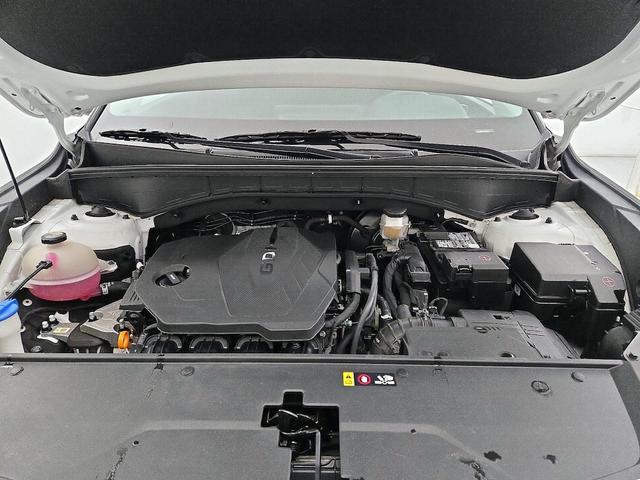 Photo of 2022 White Kia Sorento