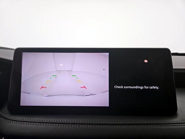 Photo of 2024 White INFINITI QX60