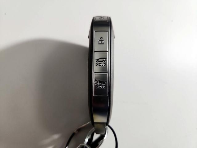 Photo of 2024 Blue Kia Telluride
