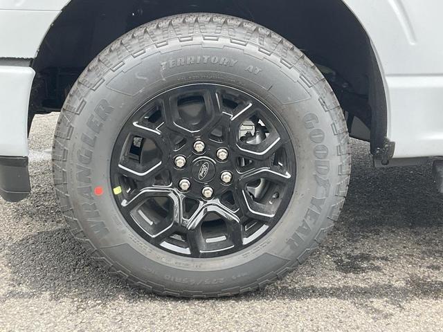 Photo of 2025 Space White Metallic Ford F-150