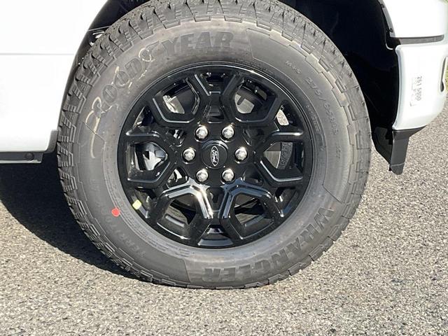 Photo of 2025 Oxford White Ford F-150