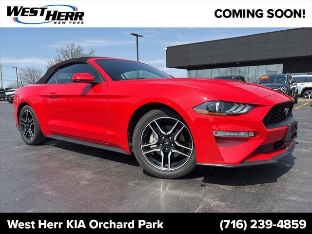 2019 Ford Mustang