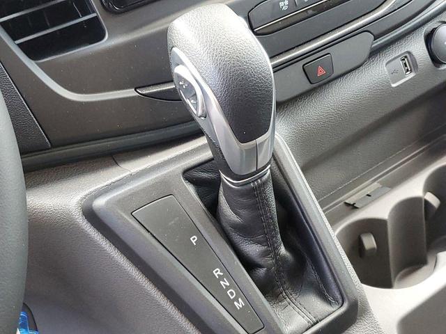 Photo of 2025 Abyss Ford Transit-350