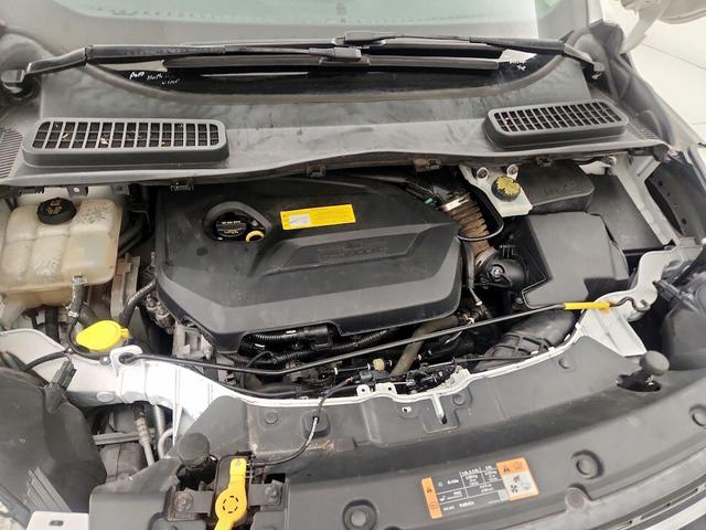 Photo of 2016 White Ford Escape