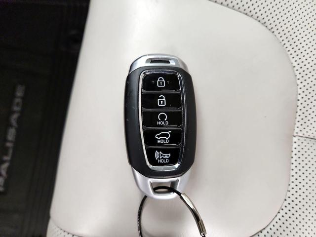 Photo of 2022 White Hyundai PALISADE