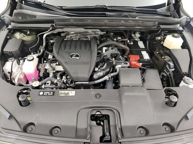 Photo of 2024 Green Lexus RX 350
