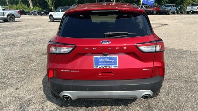 Photo of 2022 Rapid Red Metallic Tinted Clearcoat Ford Escape