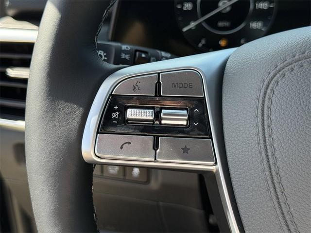 Photo of 2025 Metal Kia Telluride