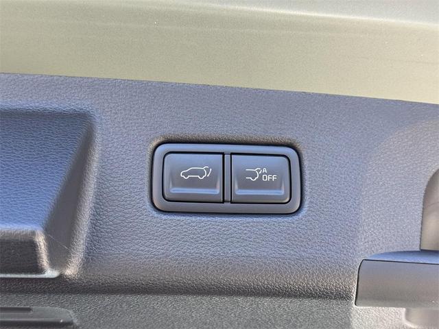 Photo of 2025 Jungle Green Kia Telluride