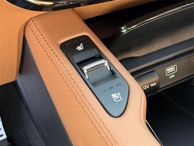 Photo of 2025 Jungle Green Kia Telluride
