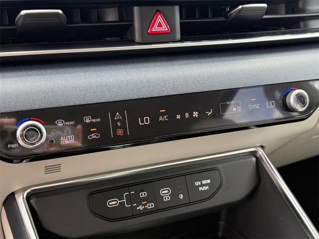 Photo of 2026 Metal Kia Carnival