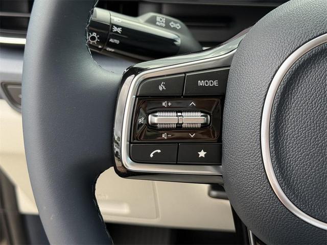 Photo of 2026 Metal Kia Carnival