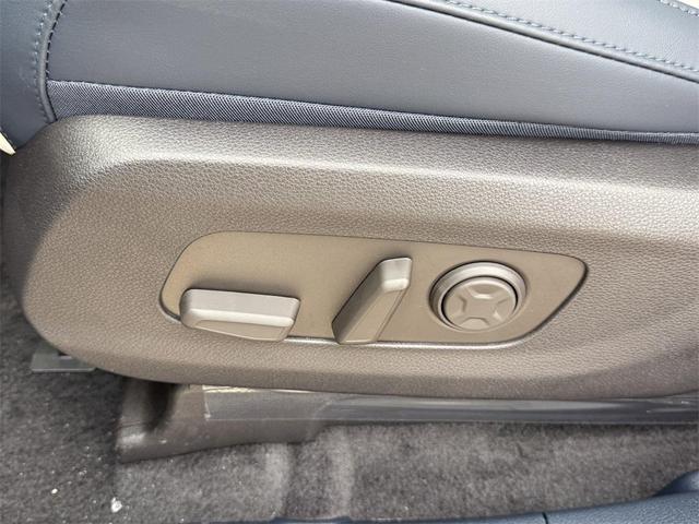 Photo of 2026 Metal Kia Carnival