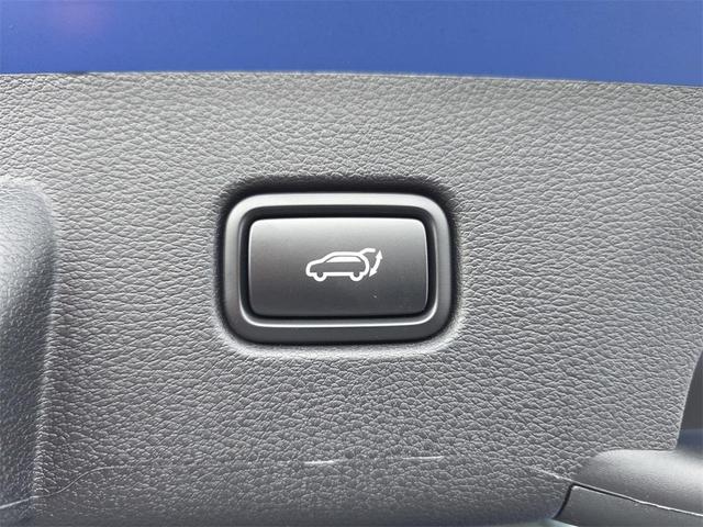 Photo of 2026 Blue Kia Sportage