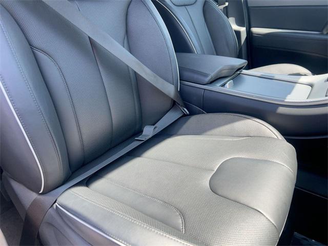 Photo of 2024 Typhoon Silver Hyundai PALISADE
