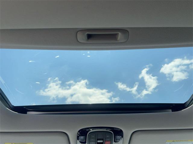 Photo of 2024 Typhoon Silver Hyundai PALISADE