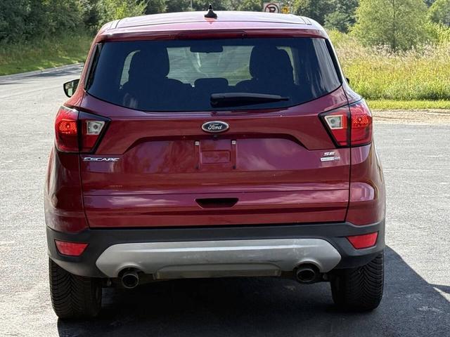Photo of 2019 Maroon Ford Escape
