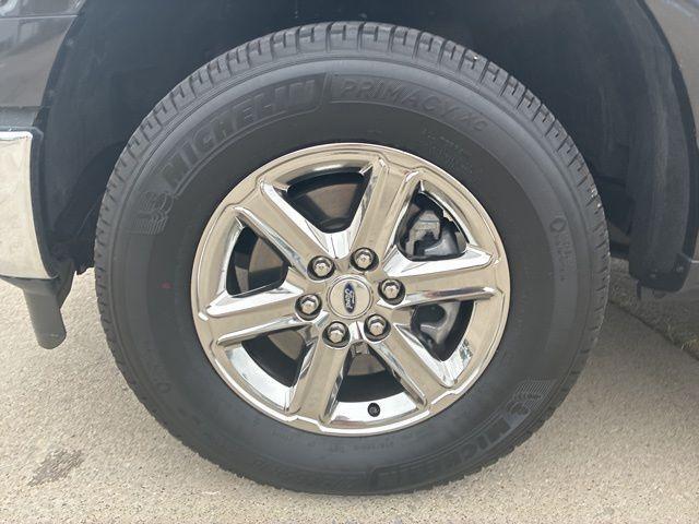 Photo of 2024 Bronze Metallic Ford F-150