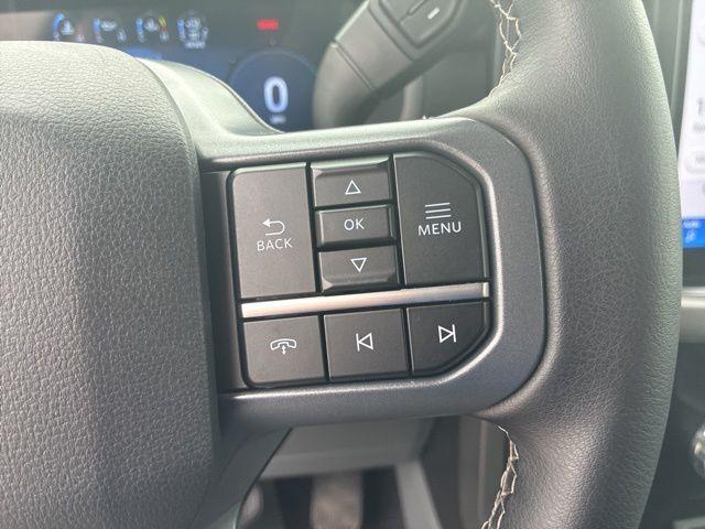 Photo of 2024 Bronze Metallic Ford F-150