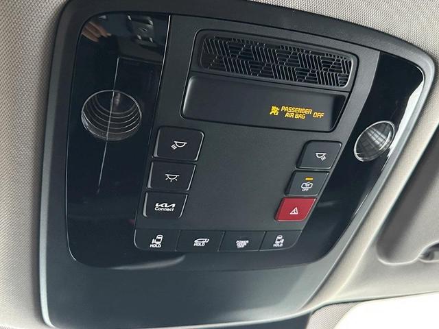 Photo of 2025 Flare Red Kia Carnival