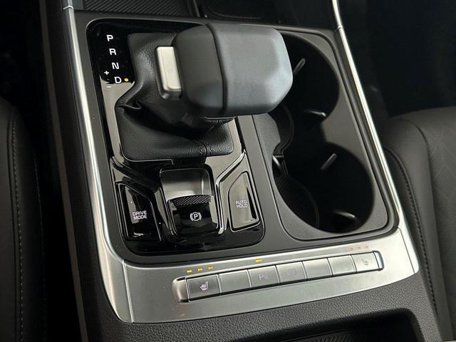 Photo of 2025 Flare Red Kia Carnival