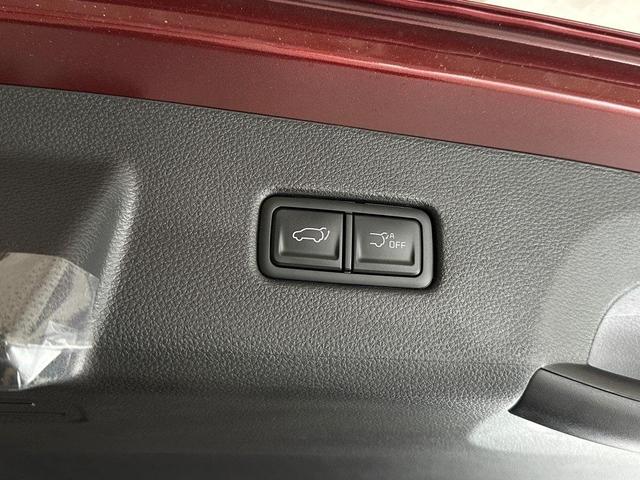 Photo of 2025 Flare Red Kia Carnival