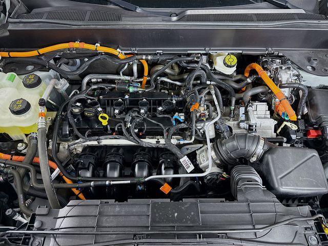Photo of 2022 Cactus Green / Gray Ford Maverick