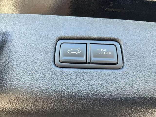 Photo of 2026 Aurora Black Pearl Kia Carnival Hybrid