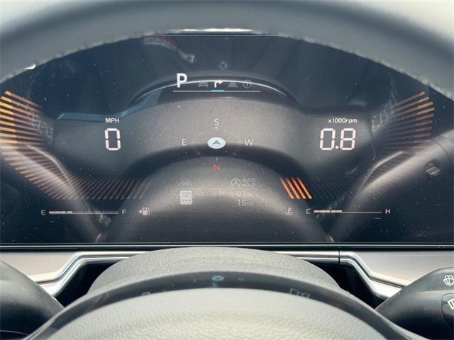 Photo of 2025 Panthera Metal Kia Sorento