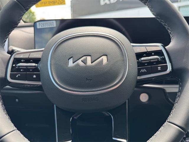 Photo of 2025 Panthera Metal Kia Sorento