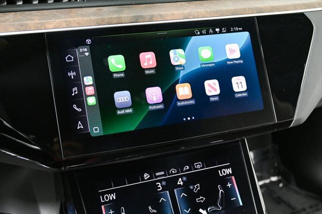 Photo of 2022 Glacier White Audi e-tron