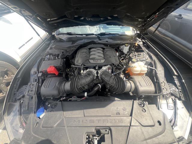 Photo of 2024 Shadow Black Ford Mustang