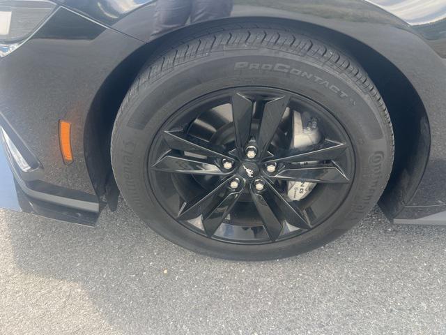 Photo of 2024 Shadow Black Ford Mustang