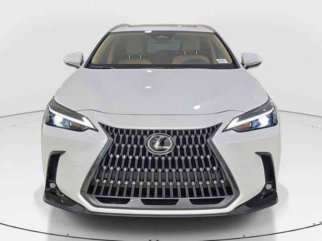 Photo of 2025 Pearl Lexus NX 350