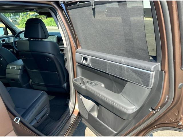 Photo of 2024 Earthy Brass Matte Hyundai SANTA FE
