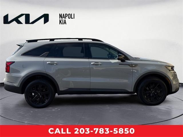 Photo of 2022 Wolf Gray Kia Sorento