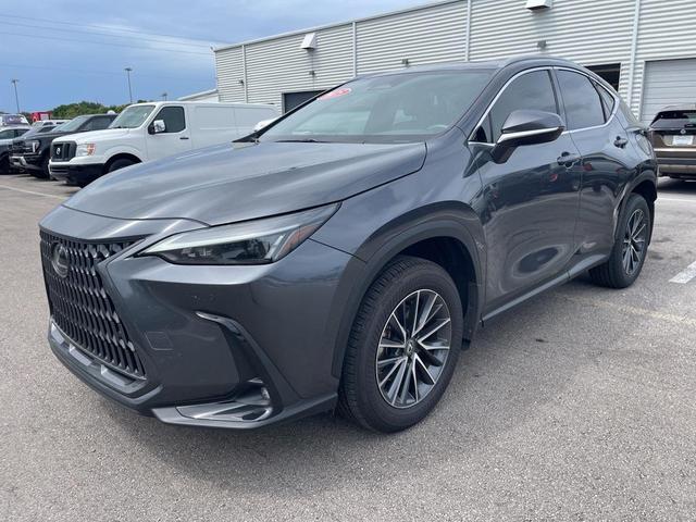 Photo of 2025 Cloudburst Gray Lexus NX 250