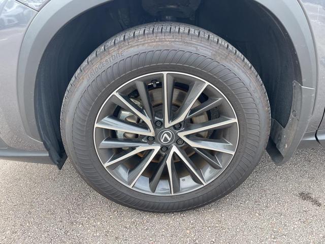 Photo of 2025 Cloudburst Gray Lexus NX 250