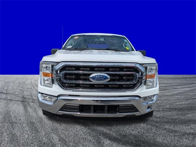 Photo of 2023 Oxford White Ford F-150