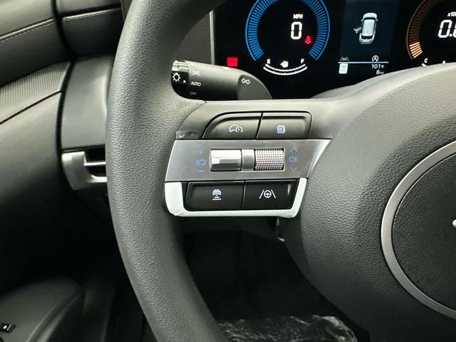 Photo of 2025 Ultimate Red Hyundai TUCSON