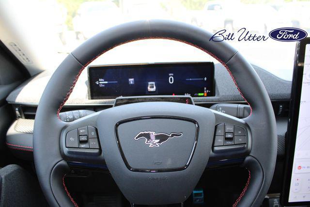 Photo of 2025 Molten Magenta Metallic Tinted Clearcoat Ford Mustang Mach-E
