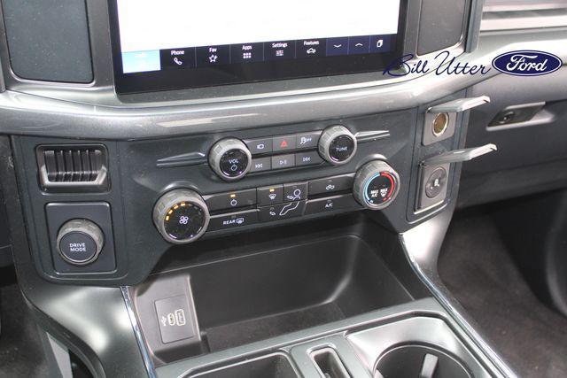 Photo of 2025 Silver Metallic Ford F-150
