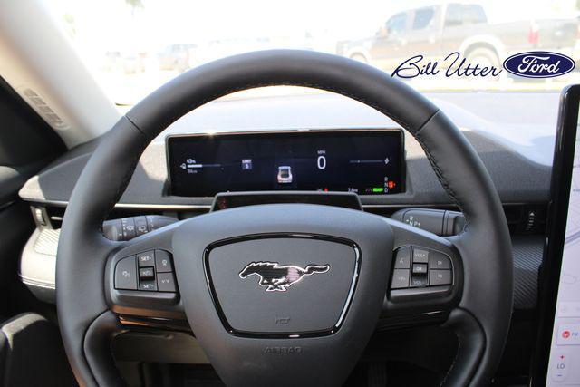 Photo of 2025 Gray Metallic Ford Mustang Mach-E