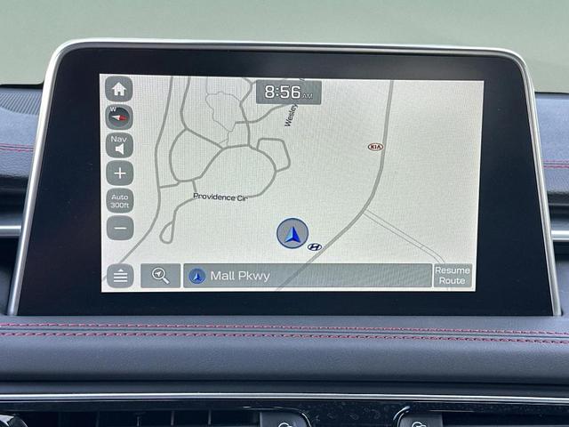 Photo of 2021 Vik Black Genesis G70