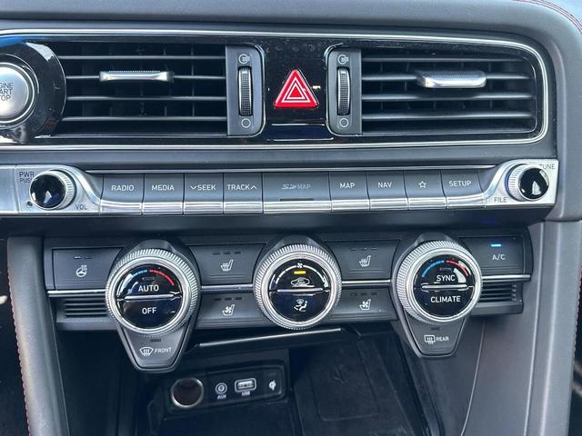 Photo of 2021 Vik Black Genesis G70