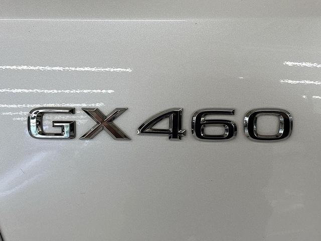 Photo of 2023 White Lexus GX 460