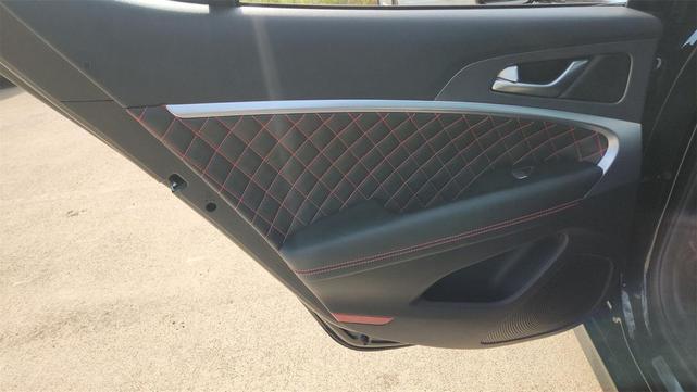 Photo of 2025 Vik Black Genesis G70