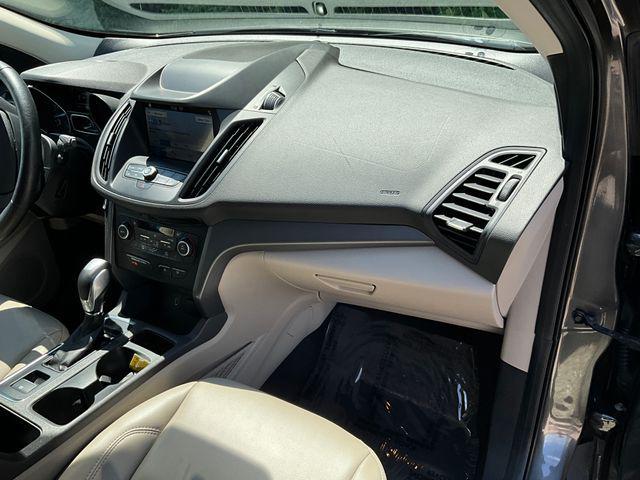Photo of 2019 Magnetic Ford Escape