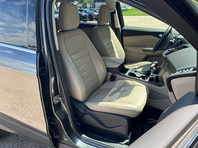 Photo of 2019 Magnetic Ford Escape